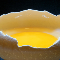 Egg