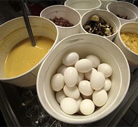 Salmonella Egg