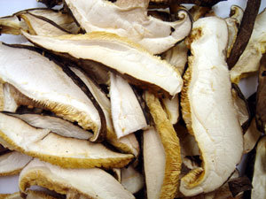 Shiitake-Ya Brand Gourmet Shiitake Slices Recall Lawsuit