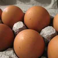 egg recall salmonella food poisoning lawyer lawsuit attorney class action litigation settlement claim