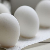 egg-recall-salmonella-lawsuits