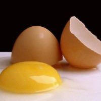 egg-salmonella-poisoning-lawyers