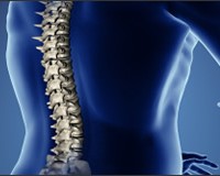spinal cord injury lawyers