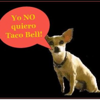 tacobell food poisoning recall