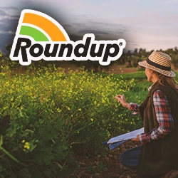 A farmer looking at week with the Roundup logo at the top left of the image