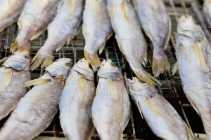 African Food on Wheels Recall Lawsuit | 2026 Latest Updates