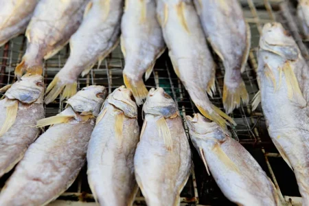 African Food on Wheels Recall Lawsuit