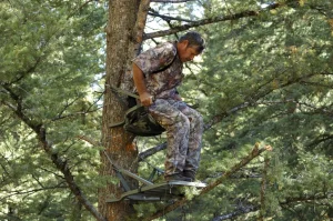 Ningbo Innopower Treestand Lawsuit | 2026 Latest Updates