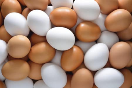 Country Eggs Recall Lawsuit