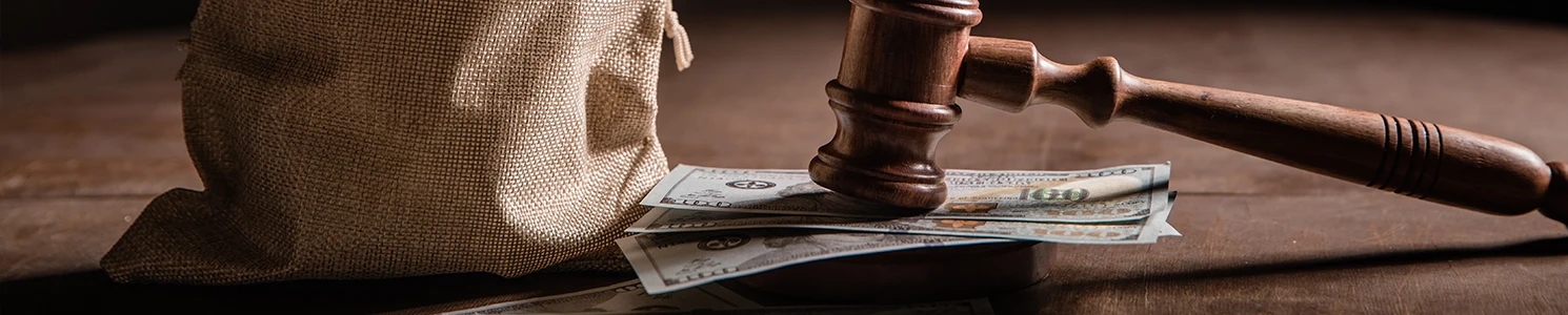 A bag of money with gavel on its side 