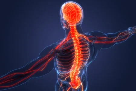 Can PFAS be Removed from the Body