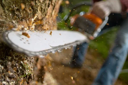 Portland Chainsaw Lawsuit