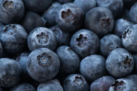 Greenwise Organics Blueberries Lawsuit