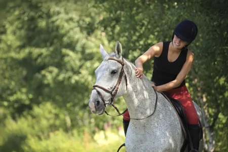 Equestrian Helmet Lawsuit