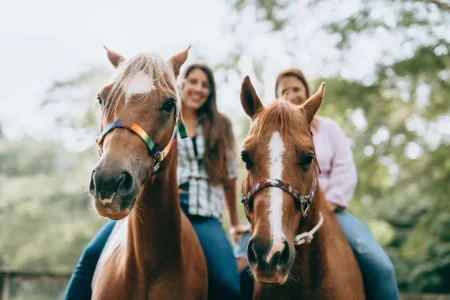 Western Saddle Cinch Lawsuit