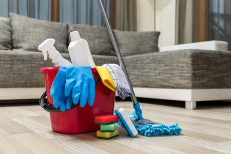 Fabuloso Cleaner Lawsuit (1)