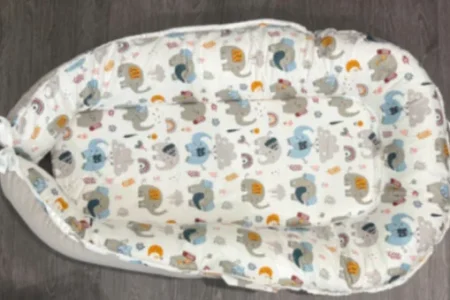 Fasando Baby Lounger Lawsuit