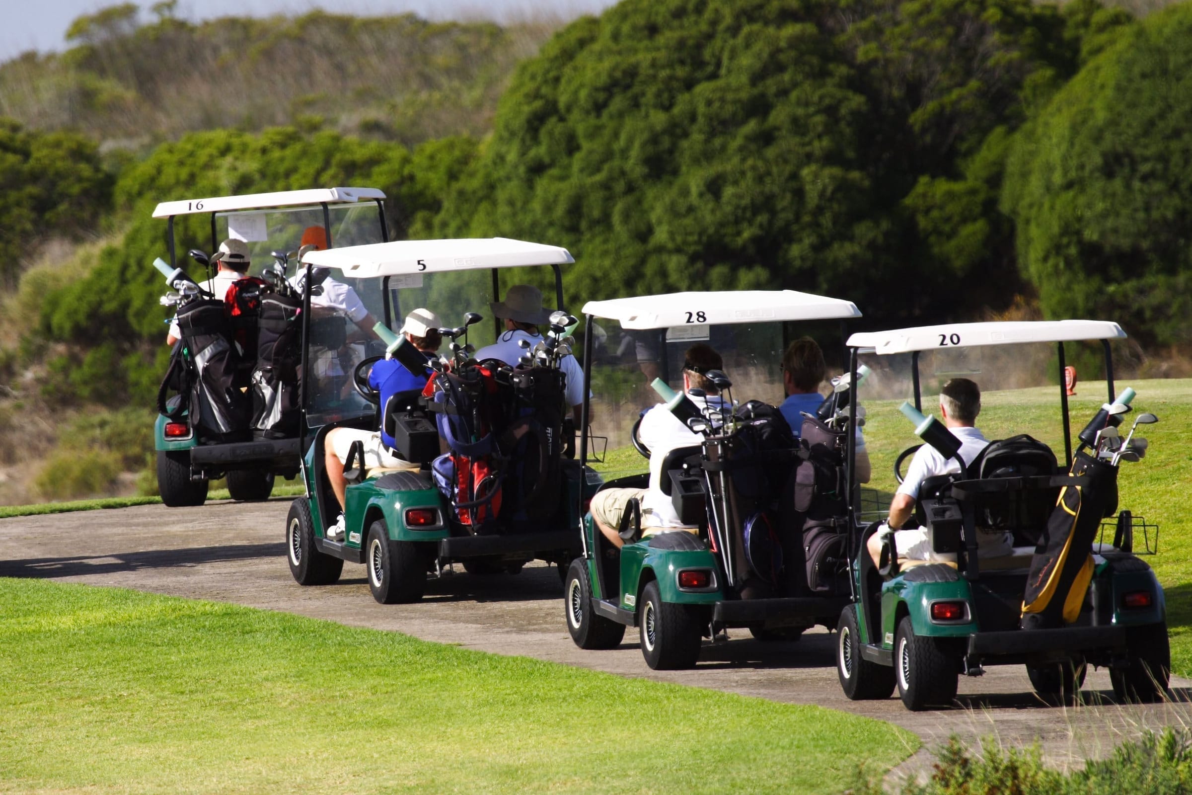Garia Golf Cart Lawsuit | Golf Cart Recalls 2020 Lawyer