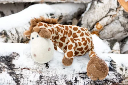 Giraffe Plush Toy Recall Lawsuit