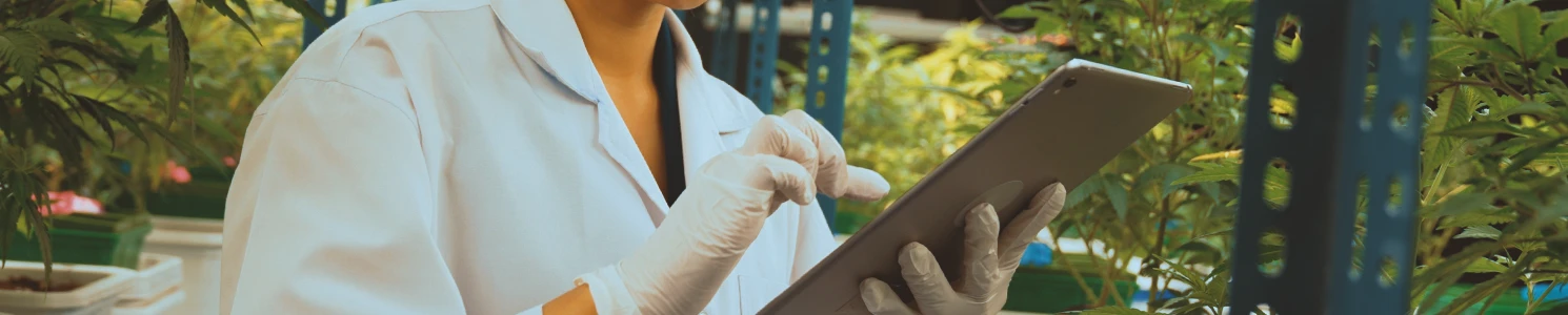 A researcher studying glyphosate side effects