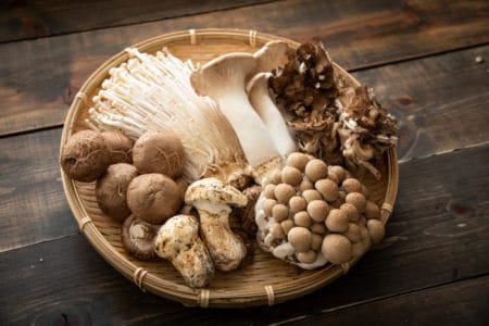 Aunt Mid's Mushrooms Lawsuit