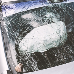 Air bag deployed in a destroyed car