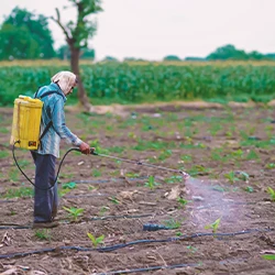 A farmer spraying glyphosate on farm soil