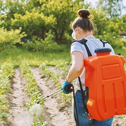A farmer using glyphosate on a farm