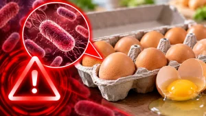 Kenz Henz Grade AA Large Eggs Lawsuit Update: Illnesses, Recall Status, and Legal Options