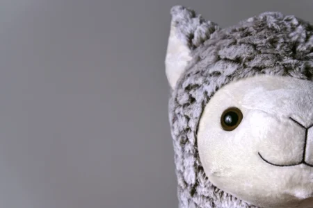 Llama Plush Toy Recall Lawsuit