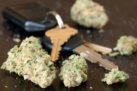 Marijuana DUI Test