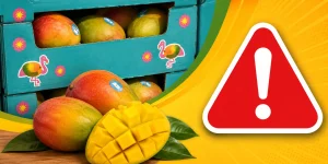 Martina Mango Recall Lawsuit Update: Injuries, Recall Status, and Legal Options