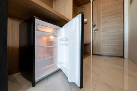 Paris Hilton Mini Fridge Recall Lawsuit