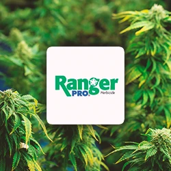Ranger Pro Herbicide logo with a weeds in the background