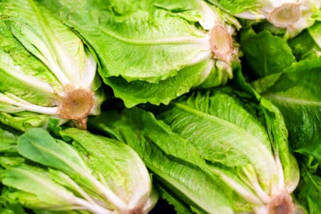 Romaine Lettuce