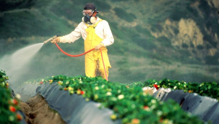 Roundup