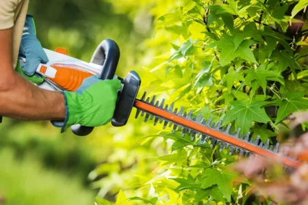 Ryobi Hedge trimmer lawsuit