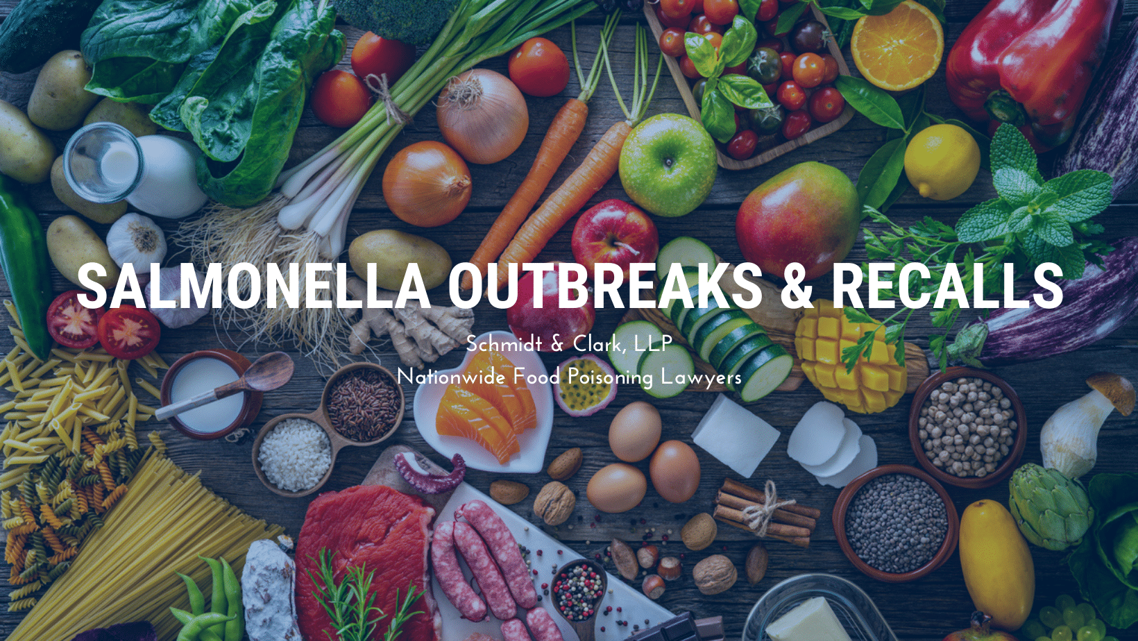 Salmonella Outbreaks Recalls