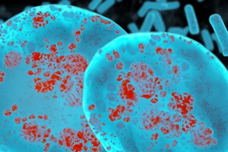 Salmonella Poisoning Outbreak Lawyers