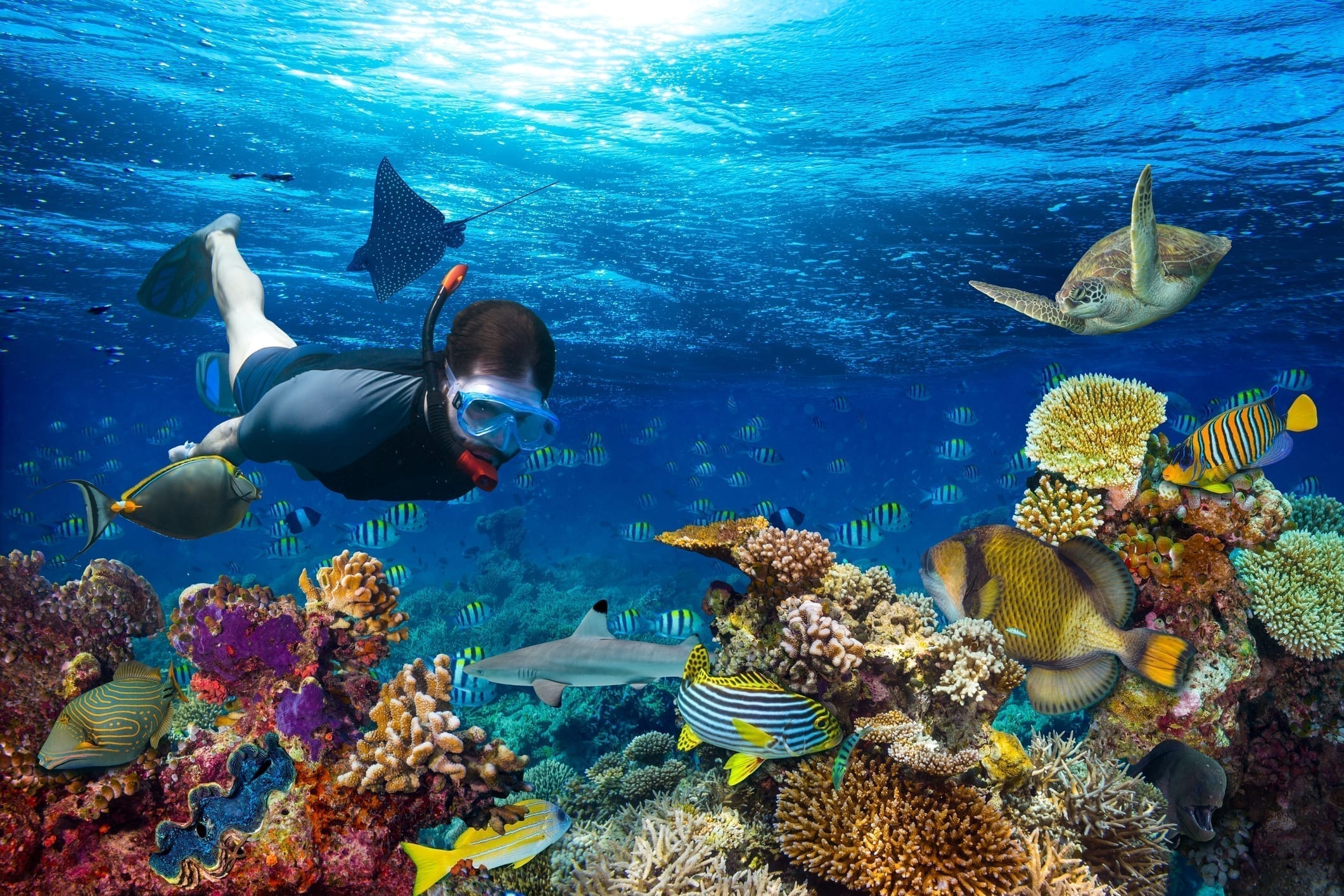 Swim Snorkel Lawsuit Snorkel Recalls 2020 Lawyer