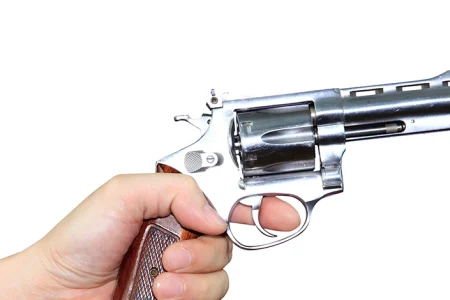 A person holding a Taurus Gun