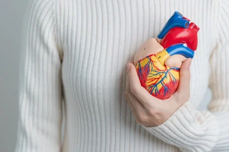 A heart replica related to Texas Impella heart pump lawsuit