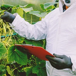 A scientist looking at weed