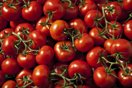 Tomato Recall Lawsuit