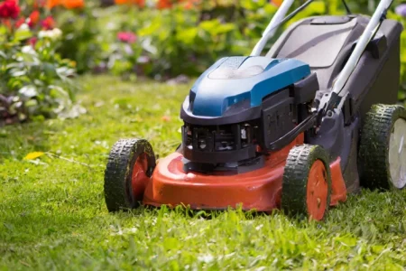 Toro Lawnmower on the backyard