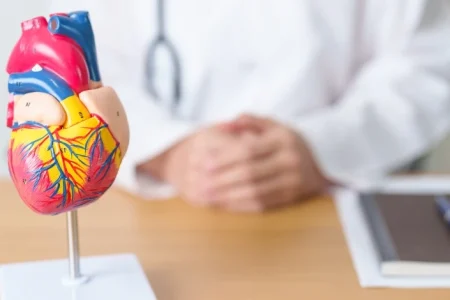 A heart replica related to Utah Impella heart pump lawsuit