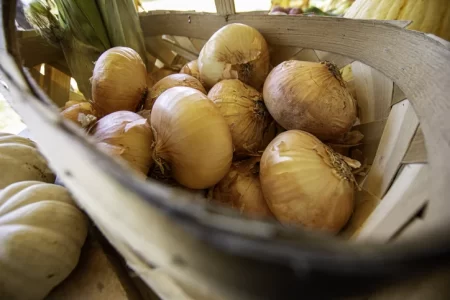 Vidalia Onions Recall Lawsuit