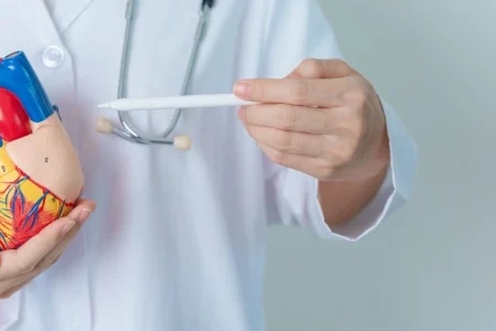 A heart replica related to Virginia Impella heart pump lawsuit