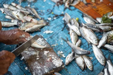 Vobla Botulism Recall Lawsuit