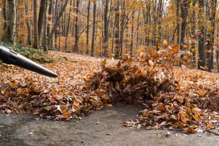 Walk-Behind Leaf Blower Recall Lawsuit